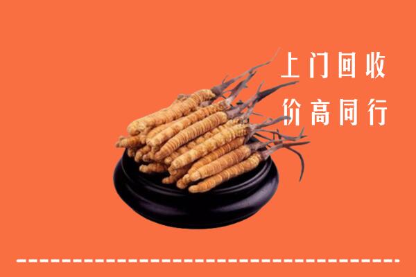 巴彦卓尔回收散虫草