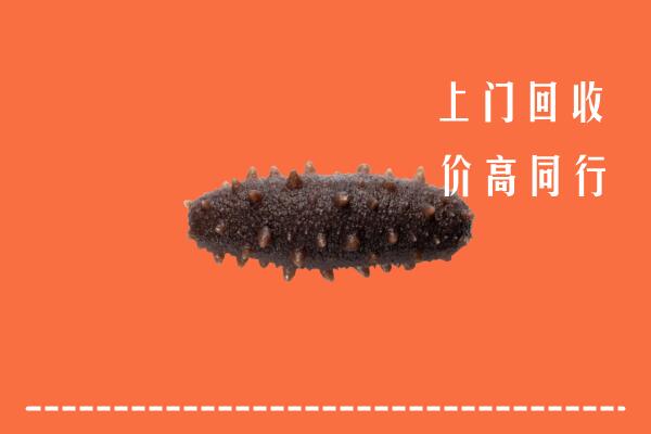 巴彦卓尔高价回收海参