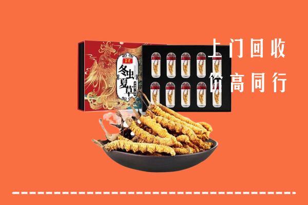 巴彦卓尔回收虫草
